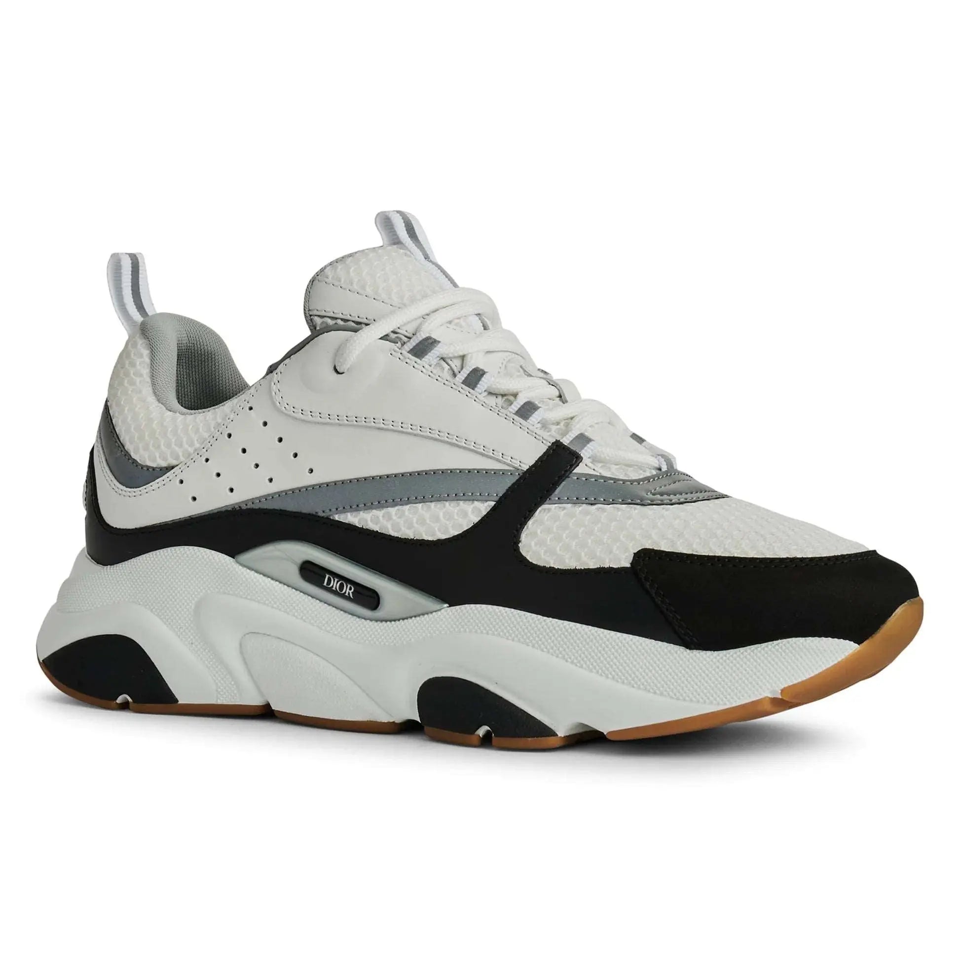Dior B22 Black White Silver Trainer
