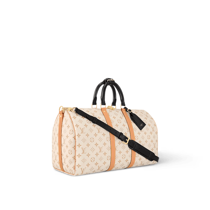 Louis Vuitton Keepall 45 (M46863)