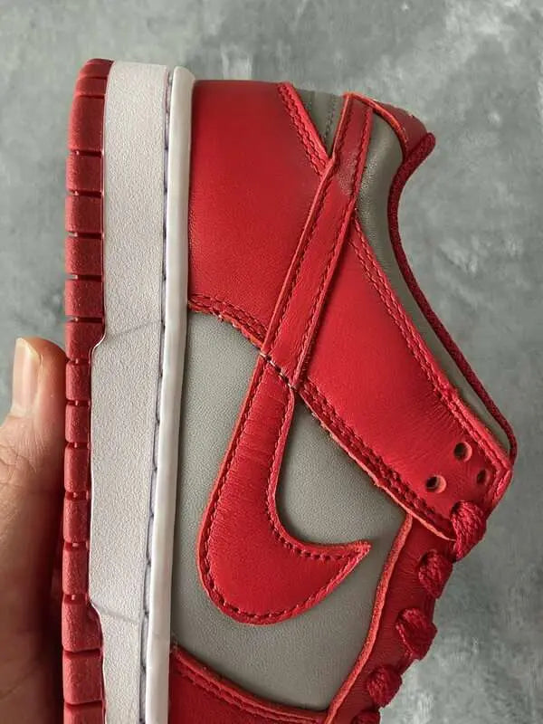 Nike Dunk University Red